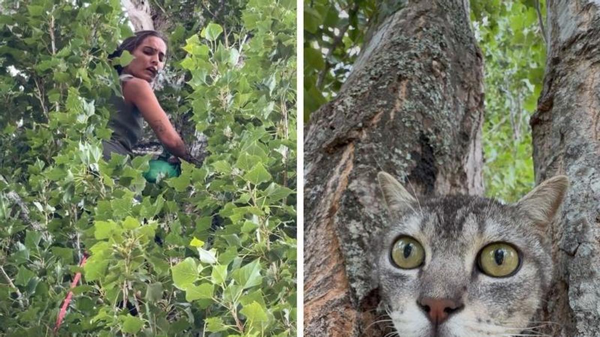 Natalia Rodríguez, responsable del refugio La Isla de Tali subida a un árbol del Club de Campo de Vigo durante el rescate.