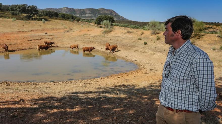 El campo extremeño mira más que nunca al cielo