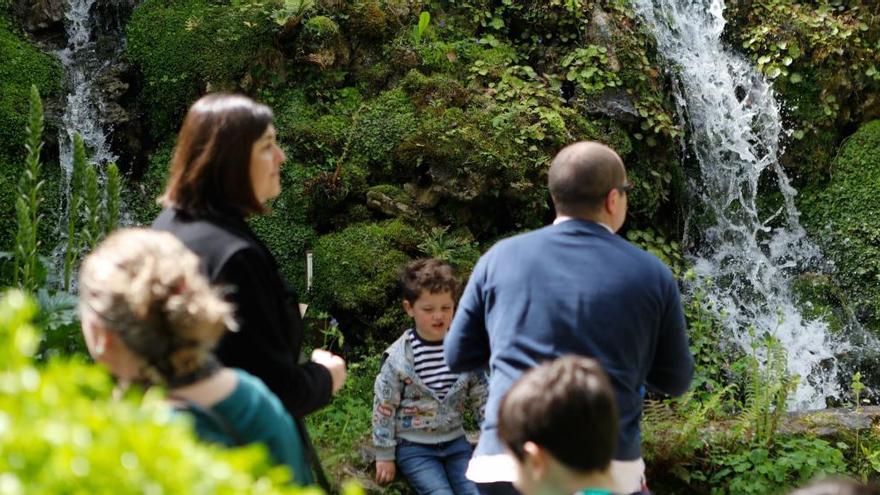 Visitantes en el Botánico.