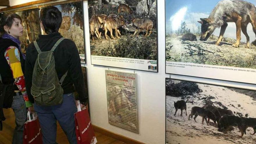 Exposición fotográfica sobre el lobo en unas jornadas transfronterizas de ecoturismo celebradas en 2007.