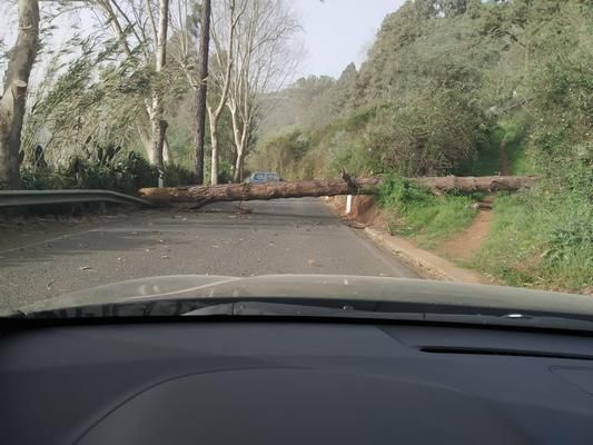 Registran más de 800 incidentes por el viento en Canarias