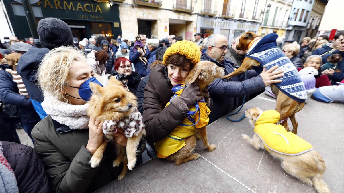 Los zaragozanos acuden a la parroquia de San Antón para la tradicional bendición de sus animales