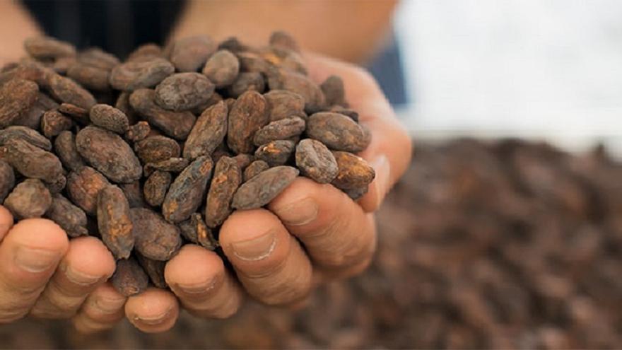 Para los fanáticos del cacao