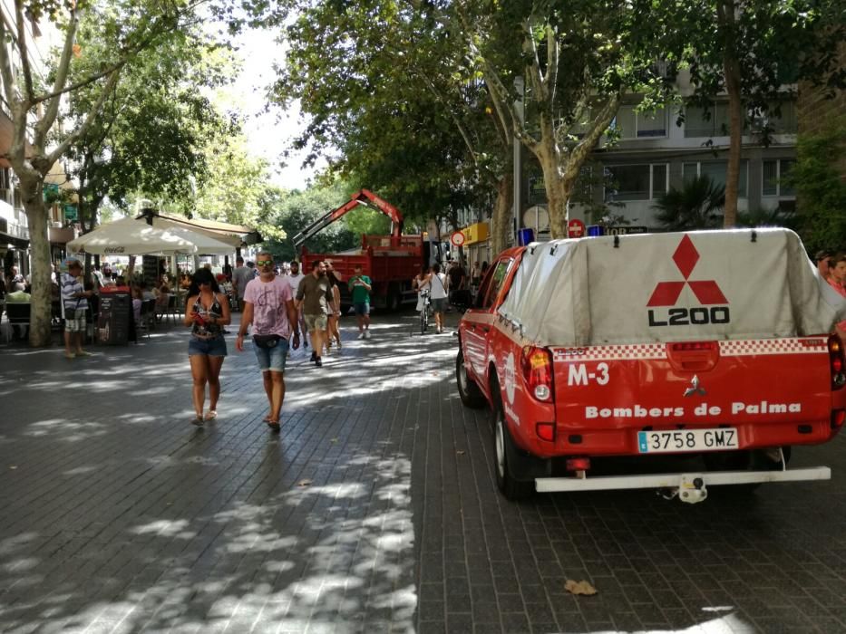 Medidas de seguridad en Palma tras los atentados en Barcelona