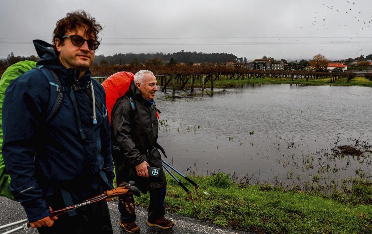 Viñedos y campos de cultivo totalmente anegados en O Salnés.