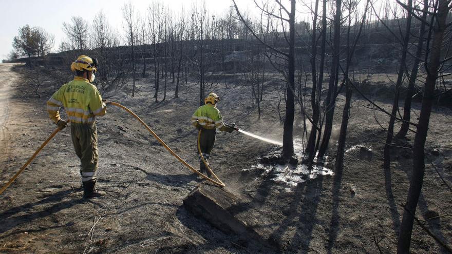 Los bomberos trabajan en el incendio de Xábia.