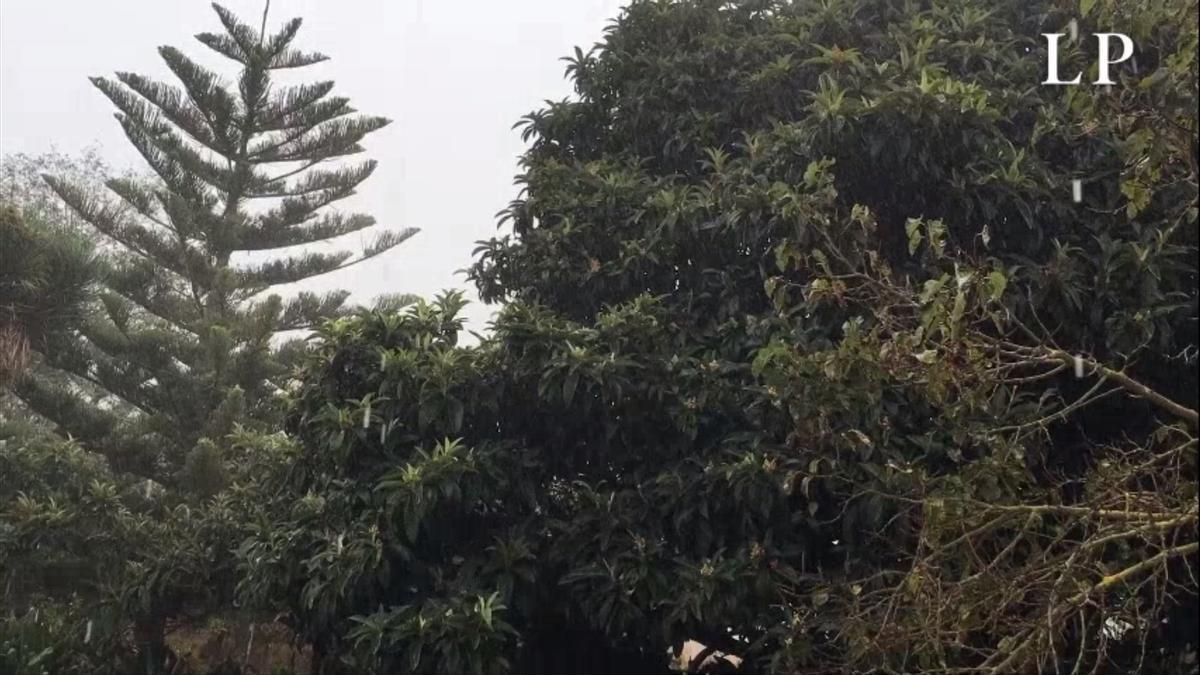 Lluvia en Gran Canaria (02/10/2020)