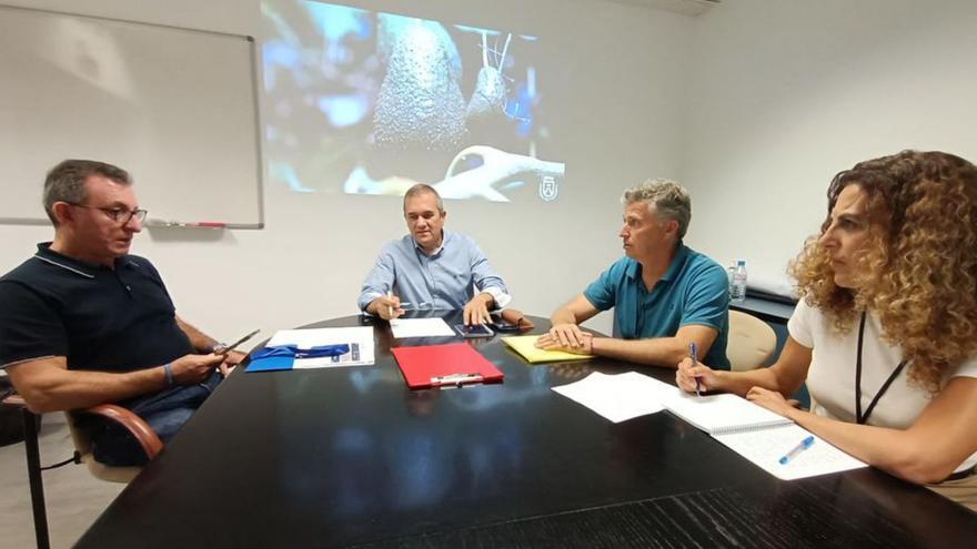 Reunión de Valentín González con varios productores de aguacate