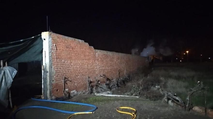 Tres perros mueren calcinados en el incendio de una chabola en Pinilla