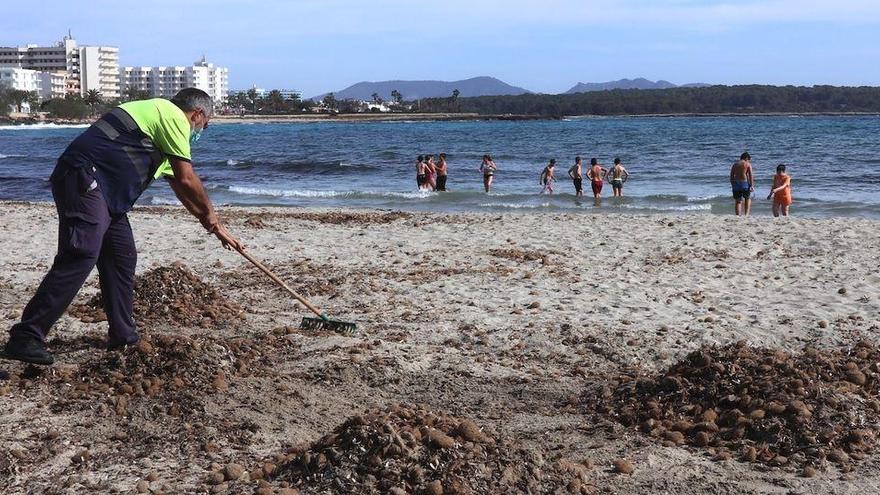 Weniger Liegen: Rathaus Manacor übernimmt Strände bei Porto Cristo