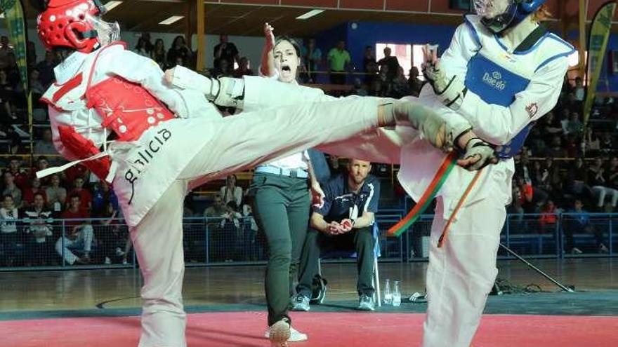 el taekwondo de élite nacional se dio cita en zamora.