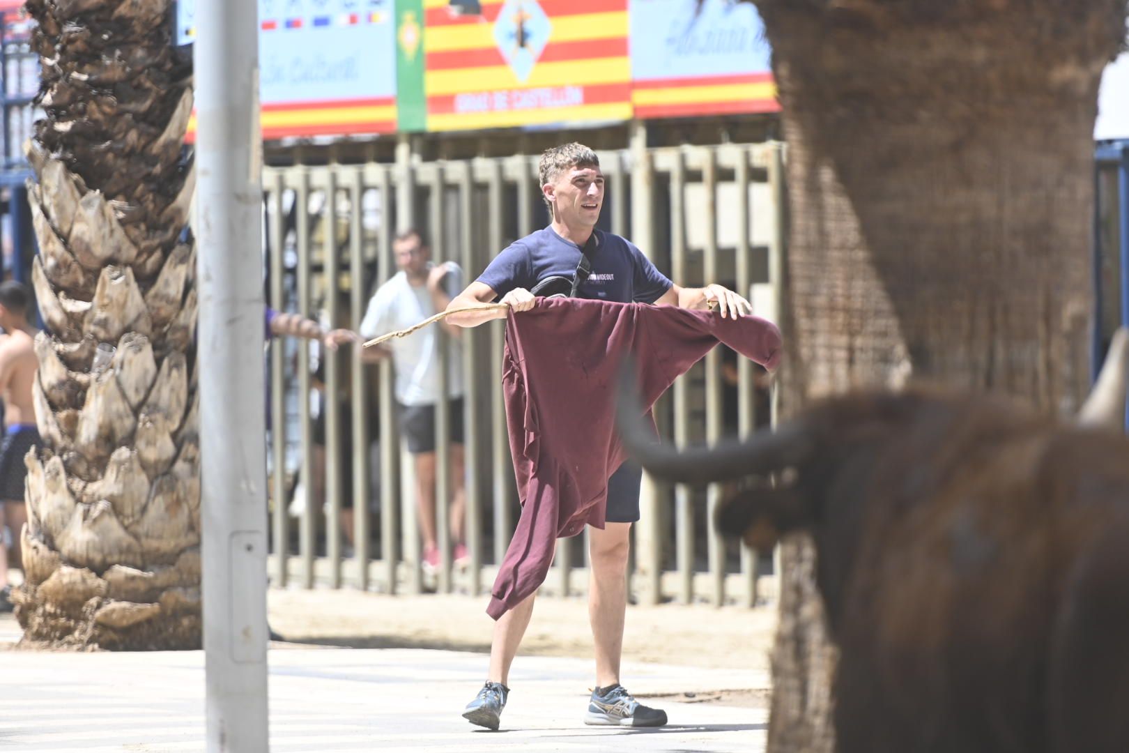 Martes de tradición, toros y fiesta en el Grau por Sant Pere