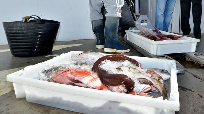 COFRADIAS PESCADORES AGAETE HERNANDEZ BENTO