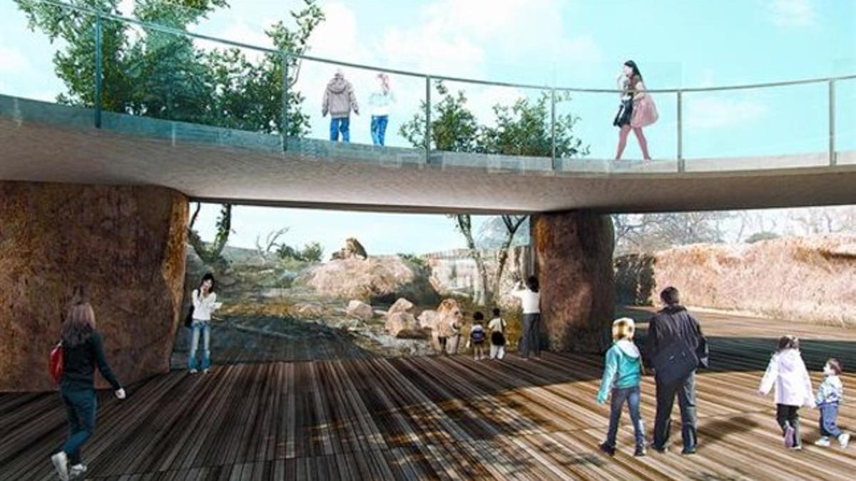 Imagen virtual de la pasarela y del nuevo espacio para los leones previsto en la reforma del Zoo de Barcelona.