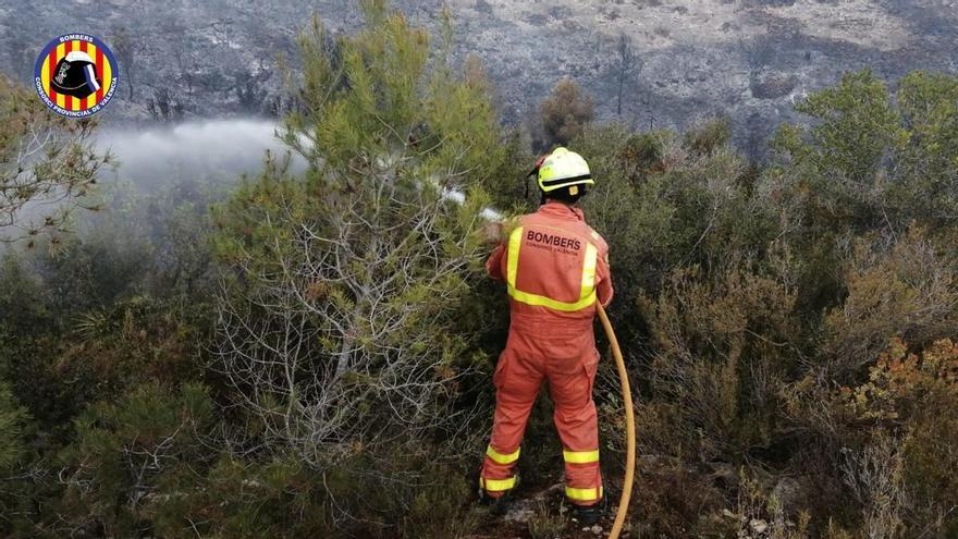 El incendio de Alfarp quema 22 hectáreas en un área de alto valor botánico