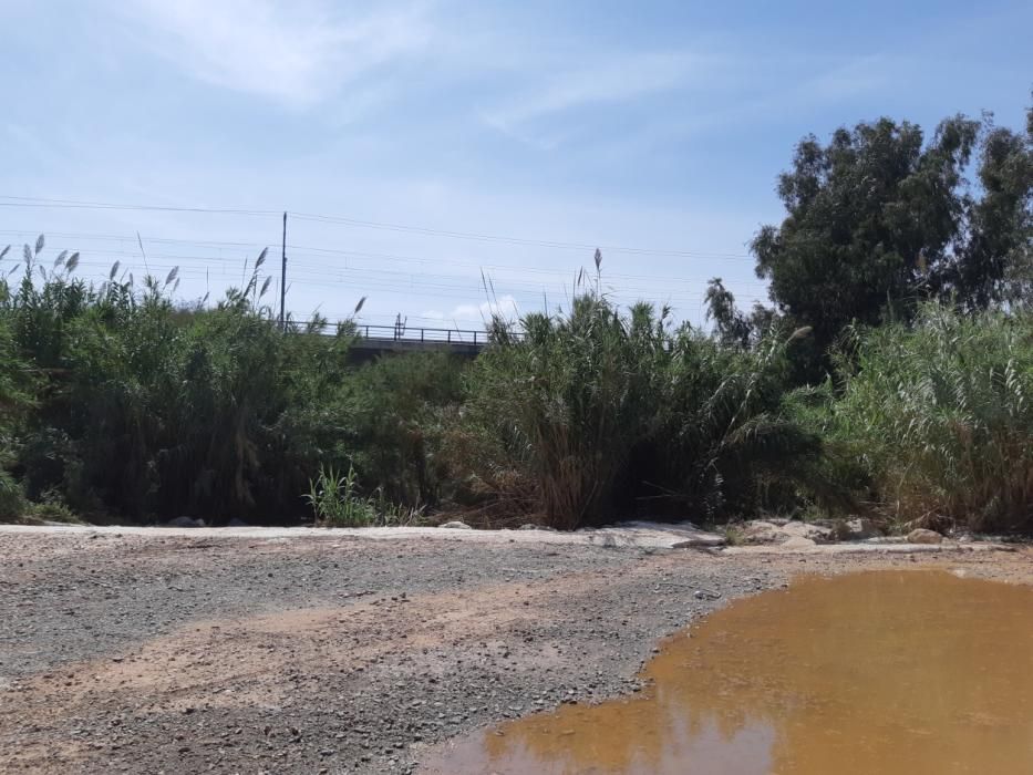 Cruce rio desde Mercamálaga a Estación de Campanillas.