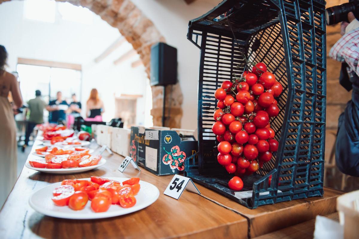 Los agricultores llevan sus mejores tomates