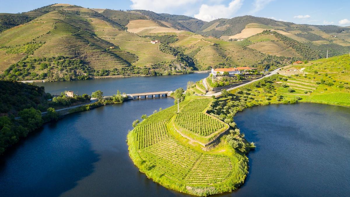 Ribera del Duero o cómo empaparse de naturaleza