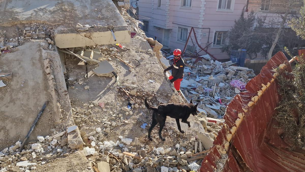 Bomberos y UME trabajan en Turquía con la prioridad de rescatar personas