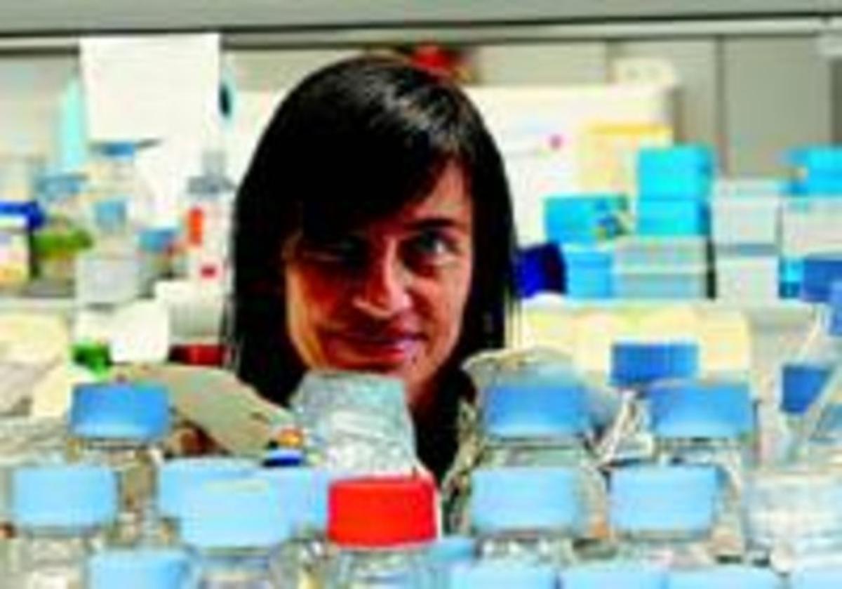 ’NEUROBIOLOGIA DE L’ENAMORAMENT’. CCCB. Montalegre, 5. Entrada lliure.