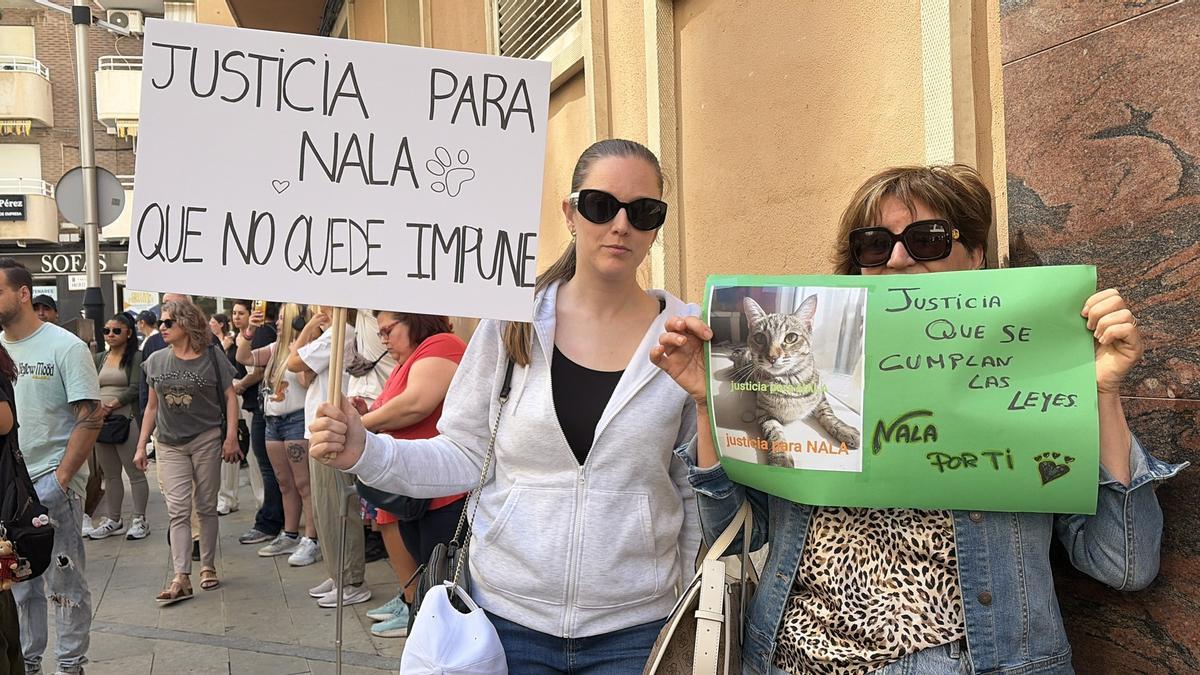 Los concentrados reclamaron que el delito de maltrato animal no quede impune y que se cumplan las leyes