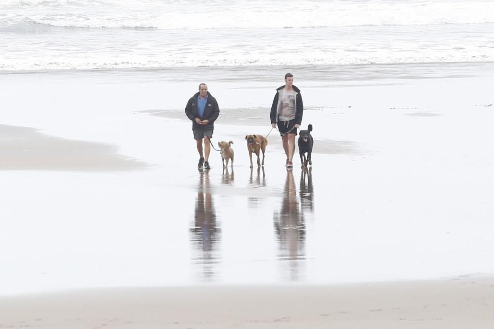 Concentración en la playa de Salinas para pedir el acceso para perros