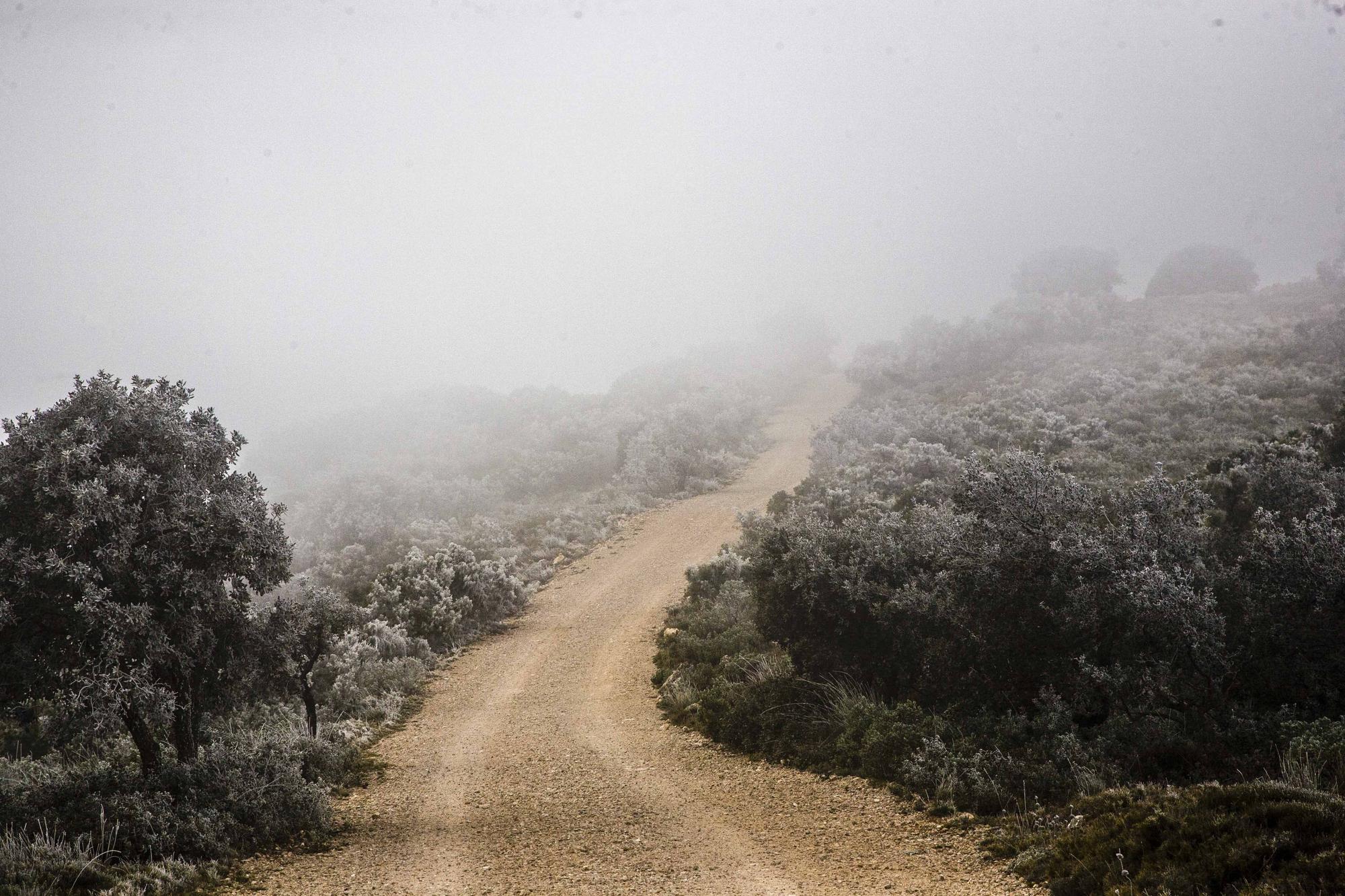 Altas temperatura y nieve en la Font Roja