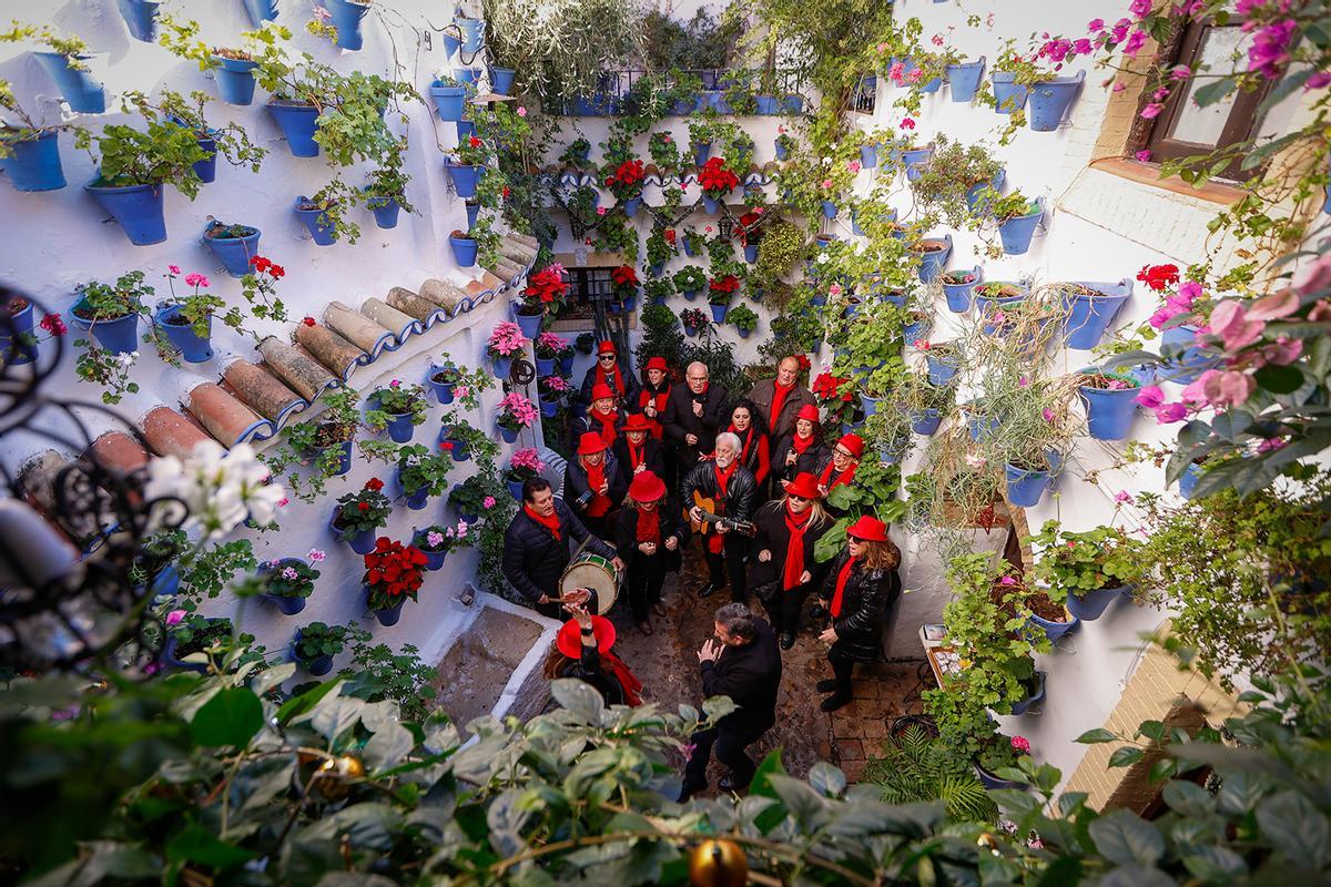 Cientos de personas visitan los Patios de San Basilio