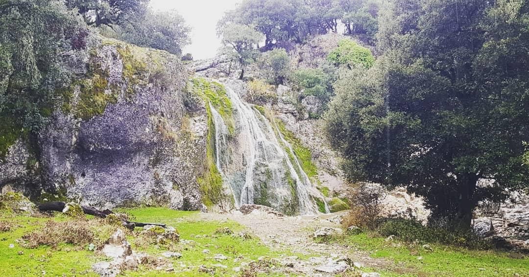 El paraíso tras las lluvias en la sierra de Cabra tras las lluvias