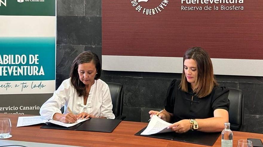 El Cabildo de Fuerteventura apuesta de forma decidida por la moda