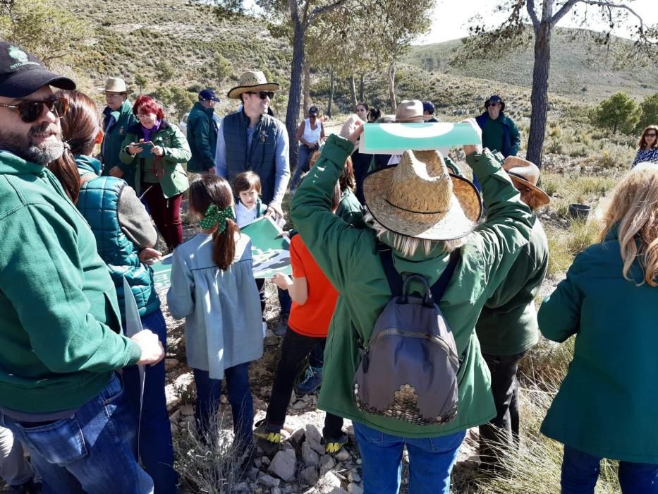 La falla Convento Jerusalén hace una repoblación forestal en Lliria