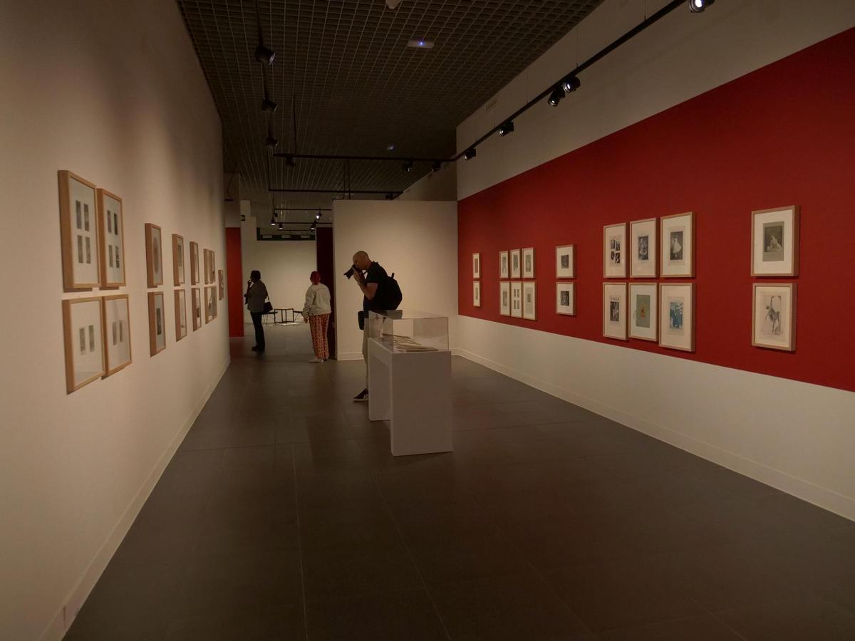 La muestra ofrece un recorrido por la vida y el legado de la legendaria bailarina rusa, cuya pasión, dedicación y talento transformaron el panorama de la danza a nivel mundial.