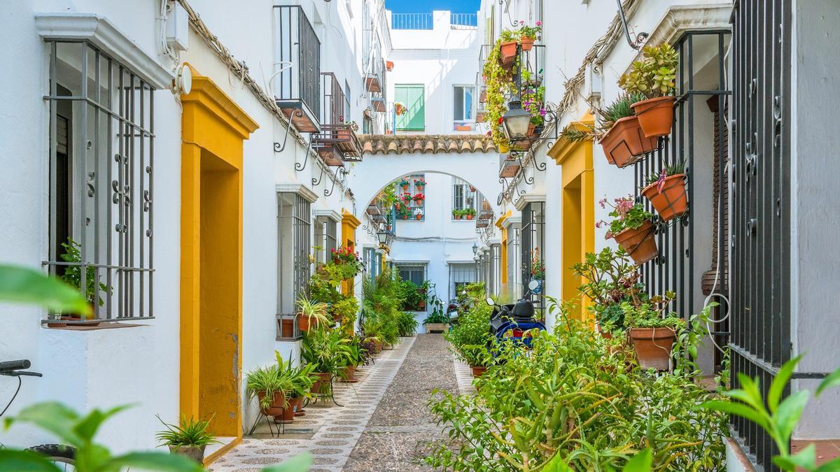 Patio cordobés de la judería.