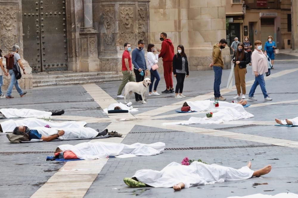 Las 'victimas' de la crisis climática, exhibidas en Murcia