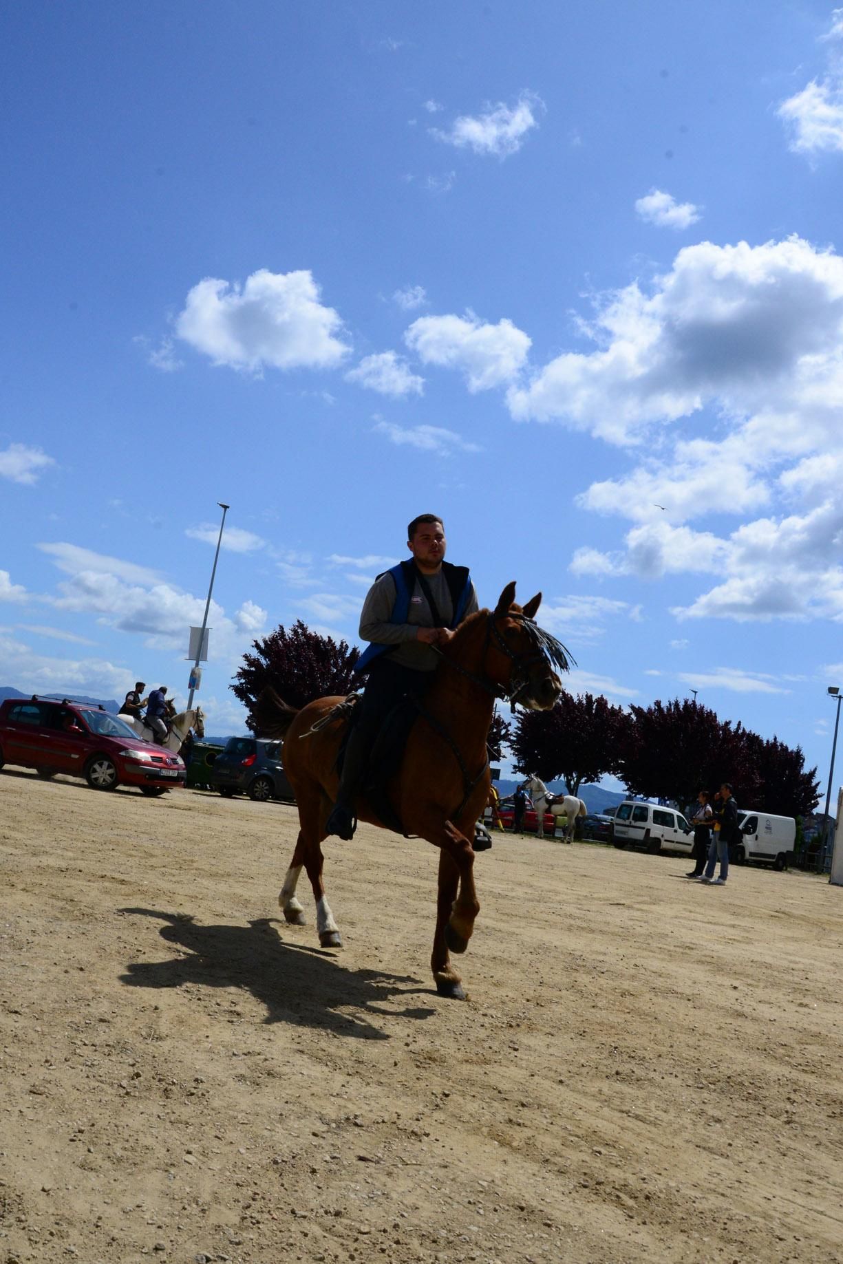 Más de 200 jinetes en la Xuntaza Cabalar de Moaña