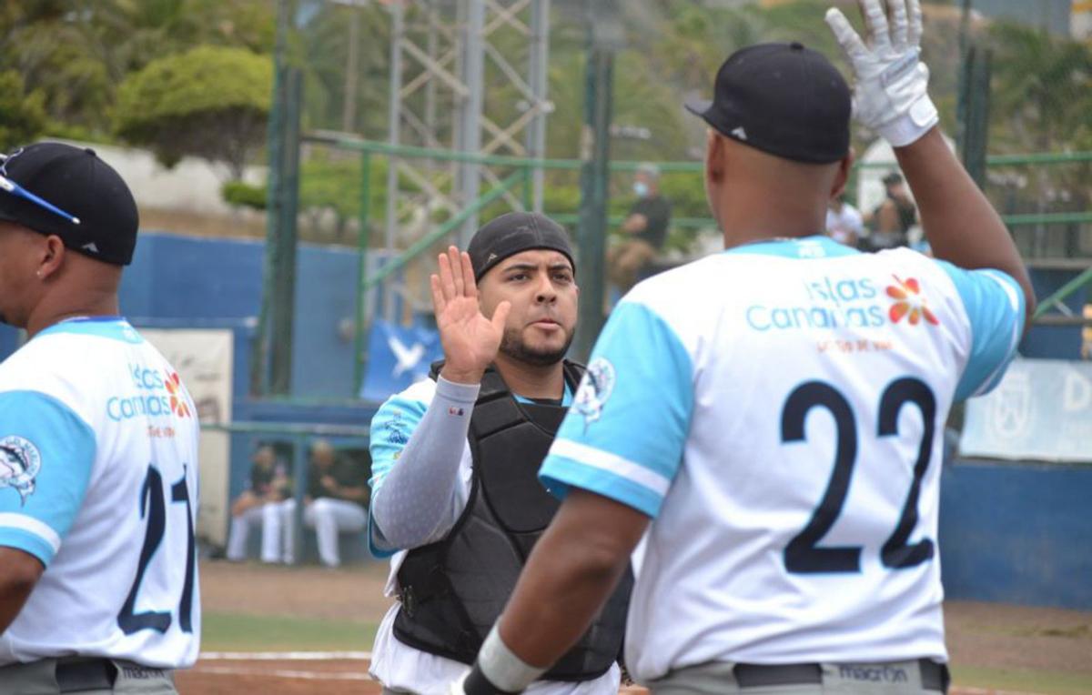 Dos jugadores del Tenerife Marlins Puerto Cruz durante un partido. | | E.D.