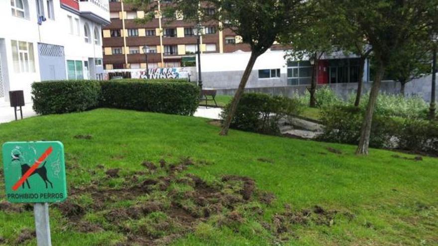 Destrozos en el césped de una plaza de Vallobín