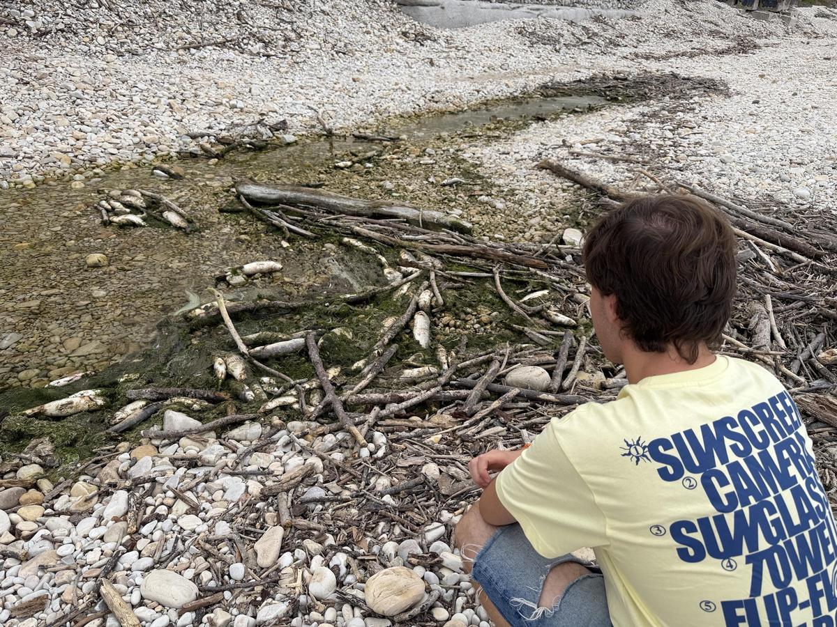 Aparecen cientos de peces muertos en una playa de Llanes