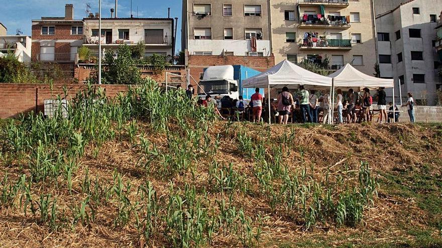 Nou terreny que es destinarà al projecte d&#039;horts urbans