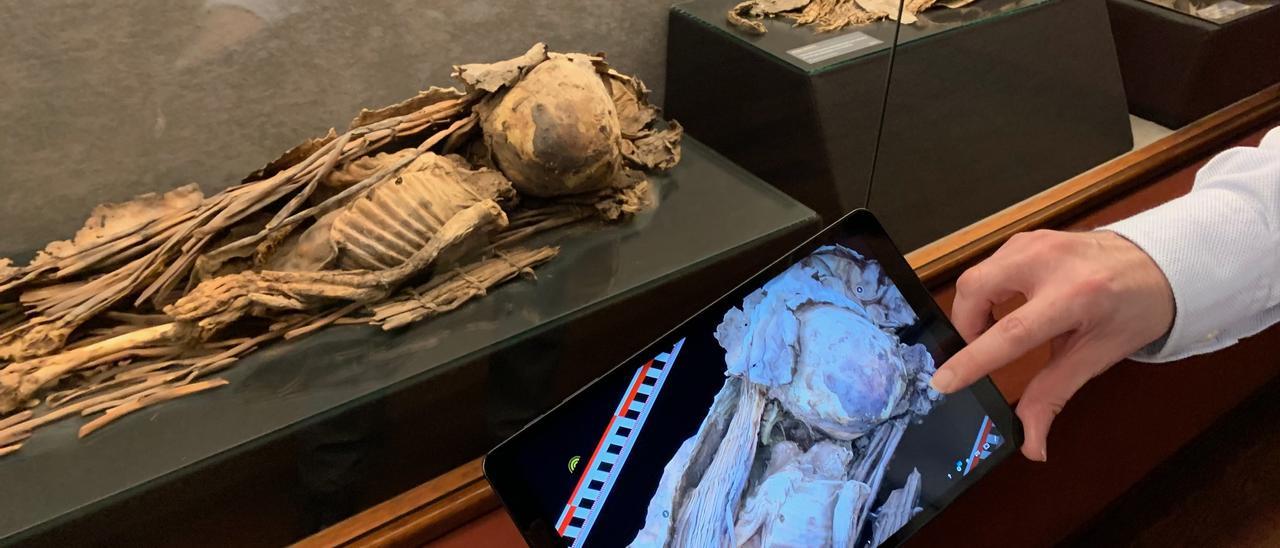 El Museo Canario en 3D: Piezas clave para conocer a los antiguos canarios