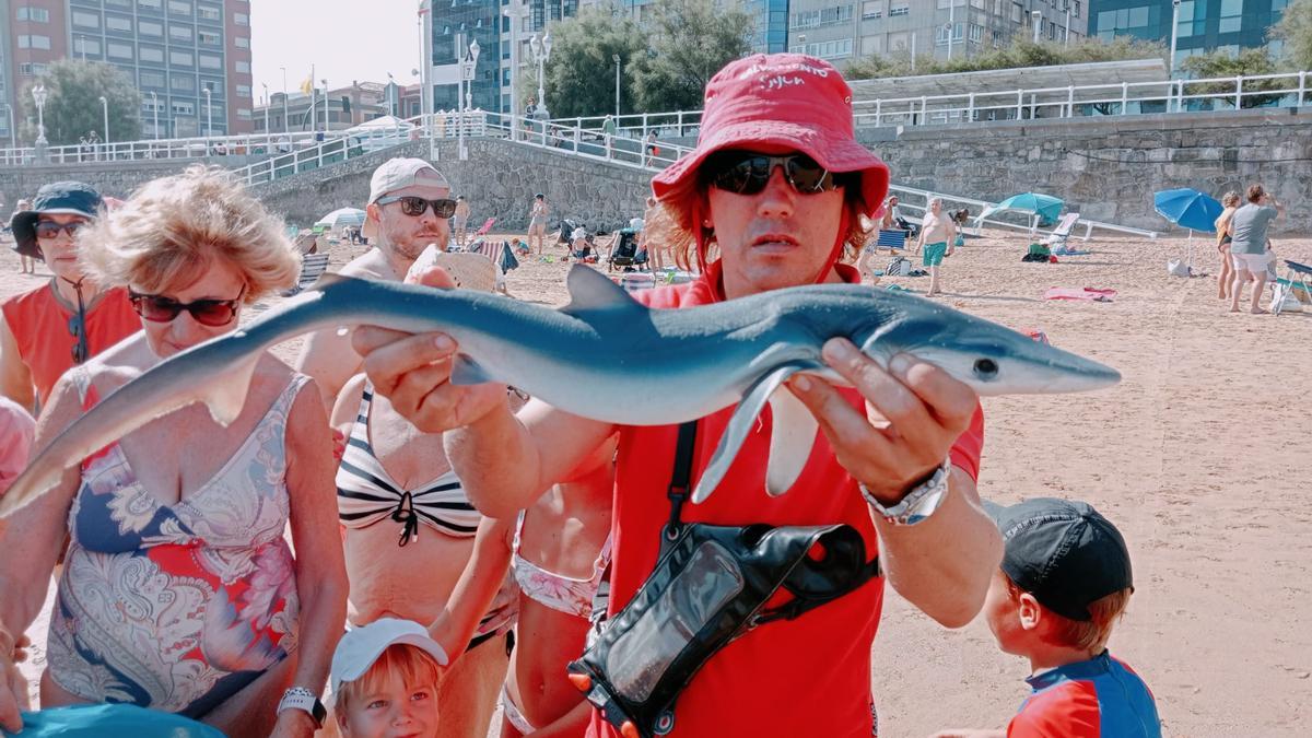 Un socorrista con el ejemplar de tiburón, esta mañana.