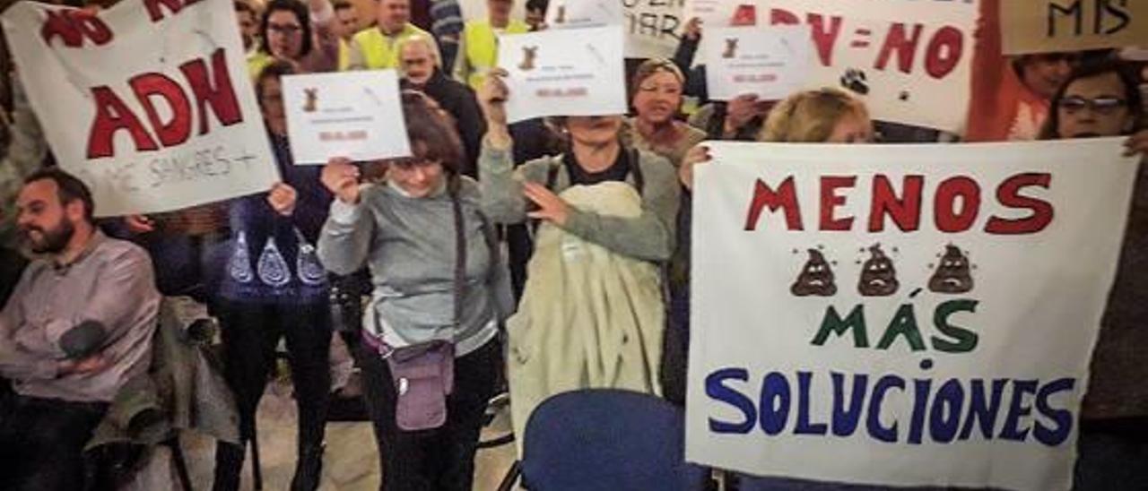 Imagen de una de las protestas en el Ayuntamiento contra las pruebas de ADN.