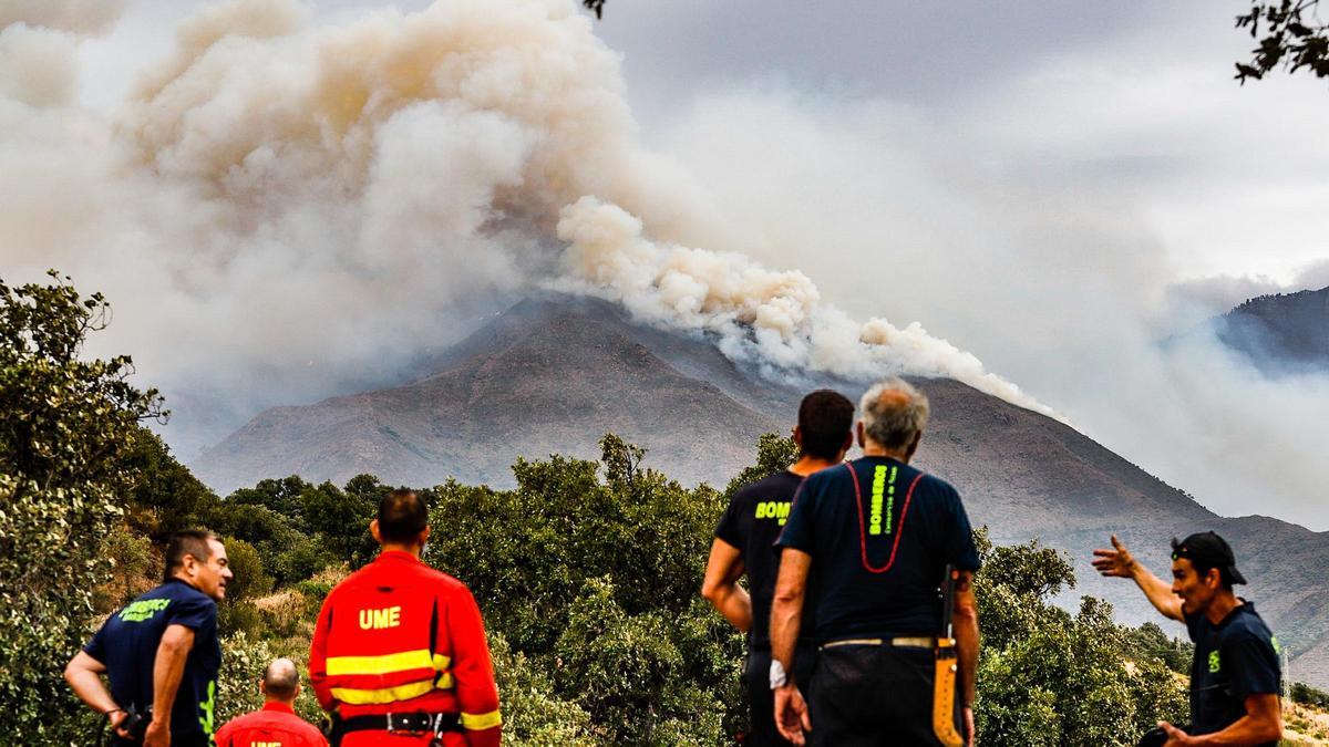 Miembros de la UME trabajan para la extinción del fuego de Sierra Bermeja.