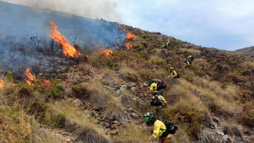 Estabilizado el incendio forestal en el paraje Montemayor de Benahavís