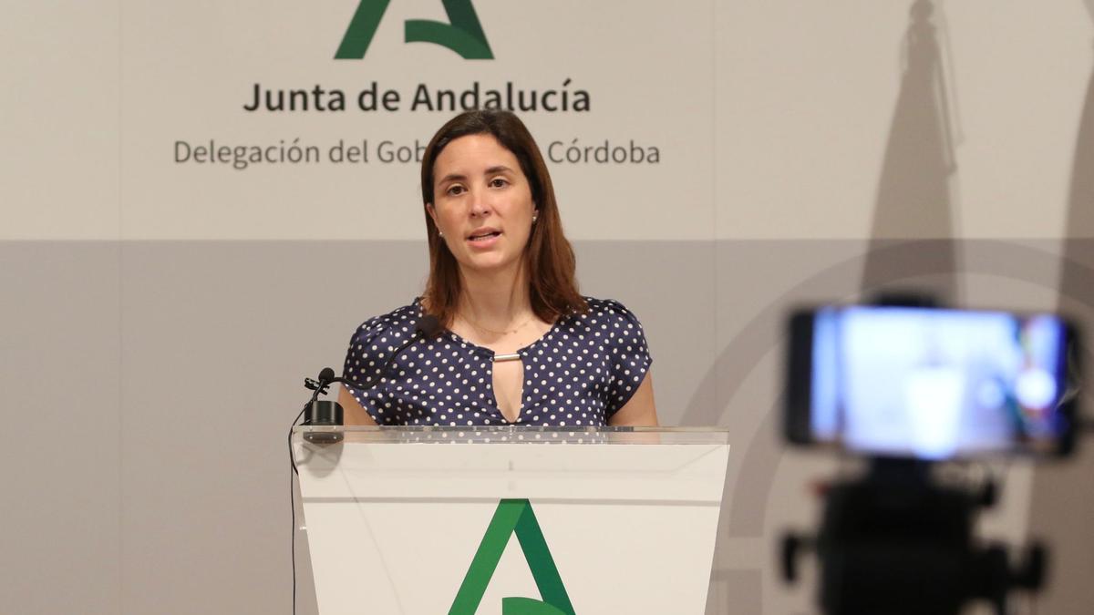 La delegada territorial de Cultura, Cristina Casanueva, durante su comparecencia ante los medios.