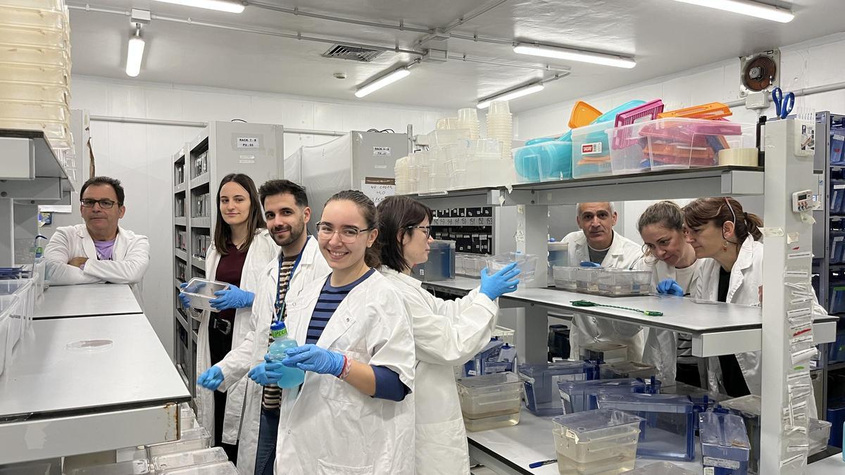 Parte del equipo que ha participado en el estudio en el laboratorio de la UMU.