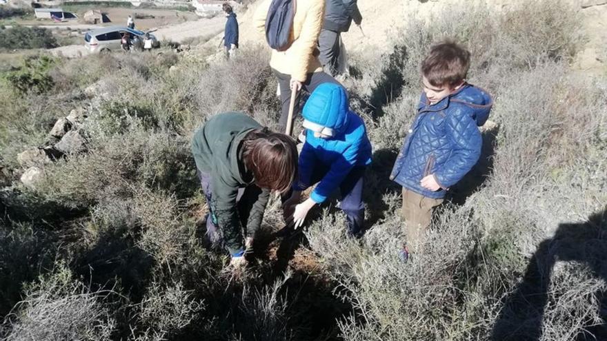 Varios niños proceden a plantar las bellotas recolectadas. | ASOCIACIÓN GABARDIELLA