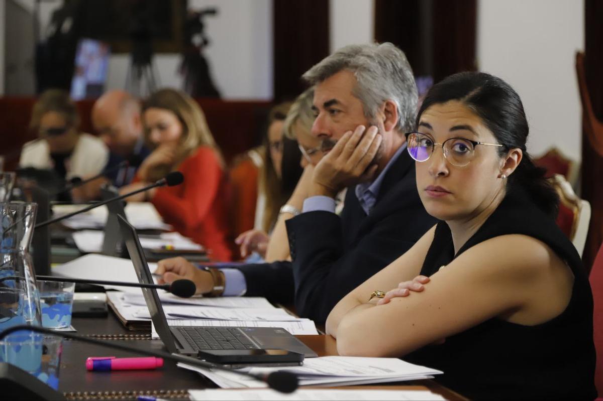 En primer pano, la delegada de Hacienda de la Diputación, Ana Rosa Ruz, durante el pleno.