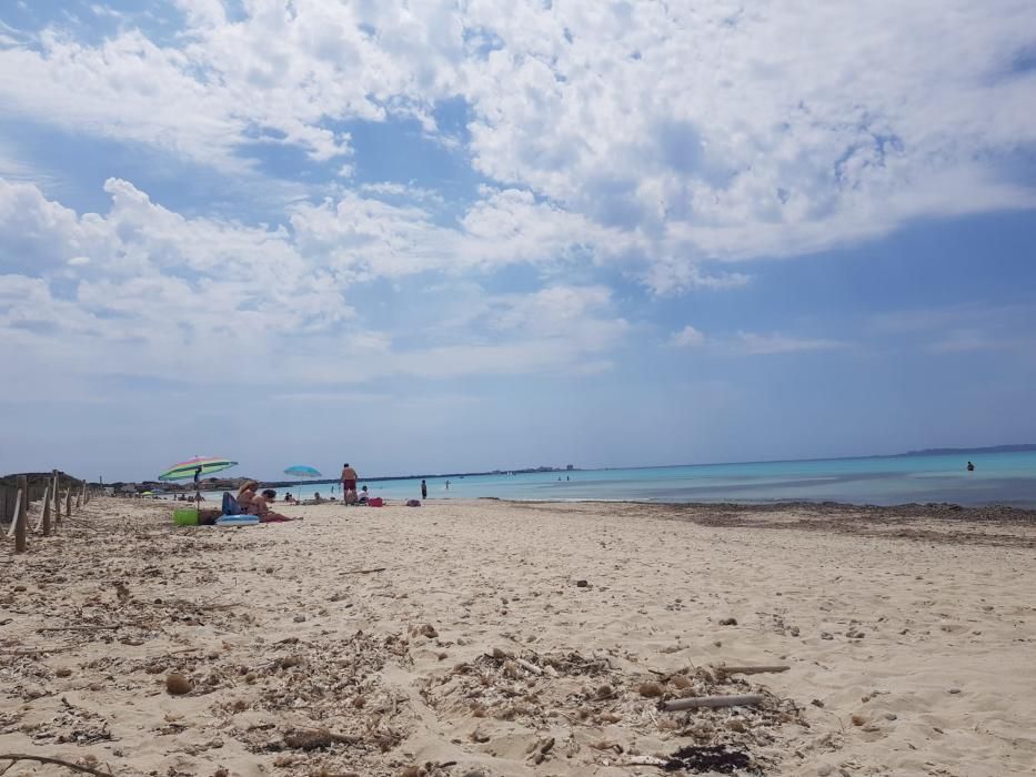 Fase 2 de la desescalada de Mallorca: Primer día con el baño autorizado en las playas