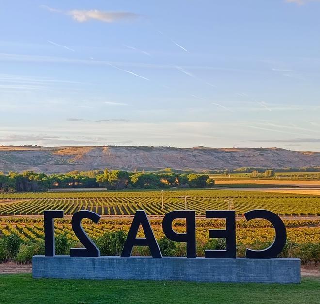 Entrada a Cepa 21, Ribera del Duero, Valladolid